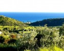 Agios Tychonas Land